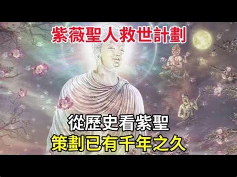 紫薇聖人|歷史預言中的「救世聖人」解密 (完整版) 